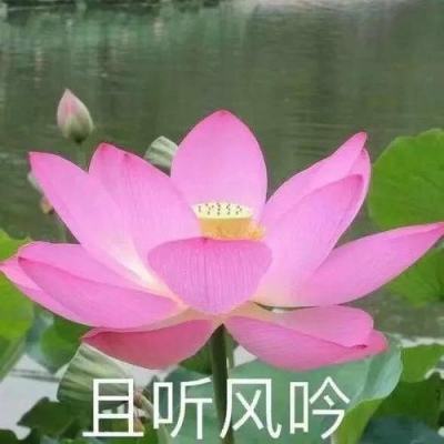 火狐彩票app下载截图2